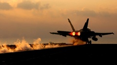 Aircraft military Hornet aircraft