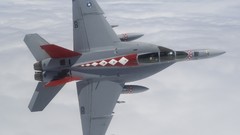 Aircraft military jet fighter-bomber F-18 f-18 hornet McDonnell 