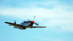 Aircraft military P-51 Mustang