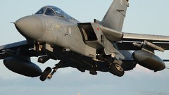 Aircraft military panavia tornado