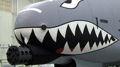 Aircraft military planes A-10