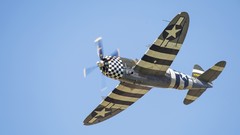 Aircraft military skies