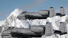 Aircraft military warthog Thunderbolt