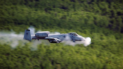 Aircraft military warthog Thunderbolt