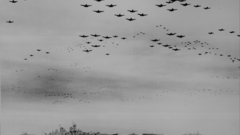 Aircraft military World War