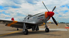 Aircraft P-51 Mustang