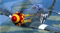 Aircraft P-51 Mustang