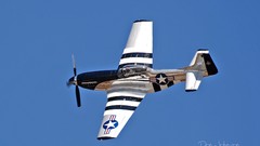 Aircraft P-51 Mustang
