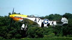 Aircraft P-51 Mustang