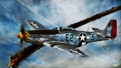 Aircraft P-51 Mustang