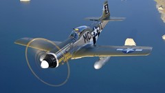 Aircraft P-51 Mustang north