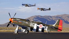 Aircraft P-51 Mustang Warbird