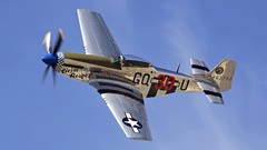 Aircraft P-51 Mustang Warbird