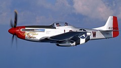 Aircraft P-51 Mustang Warbird