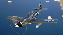 Aircraft P-51 Mustang Warbird