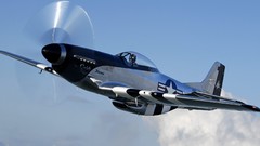 Aircraft P-51 Mustang Warbird