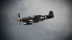 Aircraft P-51 Mustang Warbird