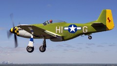 Aircraft P-51 Mustang Warbird