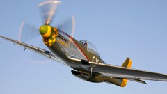 Aircraft P-51 Mustang Warbird