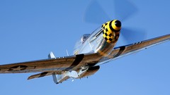 Aircraft P-51 Mustang Warbird