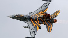 Aircraft paint Tigers f-16 fighting falcon skyscapes