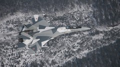 Aircraft planes su-27 flanker