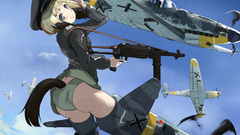Aircraft strike witches animal