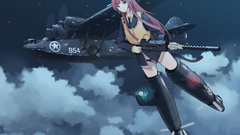 Aircraft strike witches animal