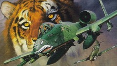 Aircraft Tigers