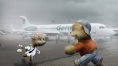 Aircraft travel teddy bears