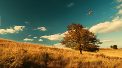 Aircraft Trees fields