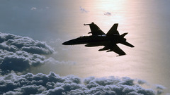 Aircraft vehicles f-18 hornet