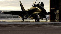 Aircraft vehicles f-18 hornet