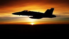 Aircraft vehicles f-18 hornet