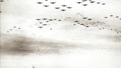 Aircraft War grayscale monochrome