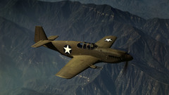 Aircraft warfare World War