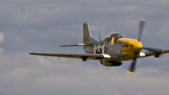 Aircraft World War II