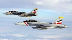 Aircrafts military Navy f-14