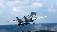 Aircrafts military Navy f-14