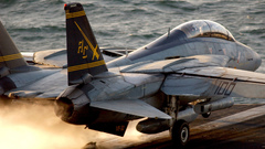 Aircrafts military Navy f-14