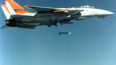 Aircrafts military Navy f-14