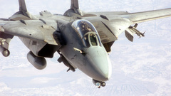 Aircrafts military Navy f-14