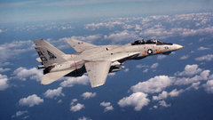 Aircrafts military Navy f-14