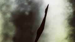 Aircrafts Stealth bomber B-2