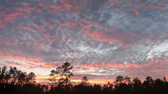 Airport sunset background nature