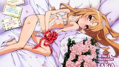 Aisaka taiga toradora