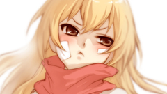 Aisaka taiga toradora