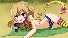 Aisaka taiga toradora animal