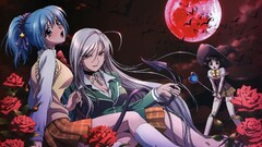 akashiya moka Rosario + Vampire Kurono Kurumu Sendo Yukari Anime