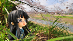 Akiyama mio figurines